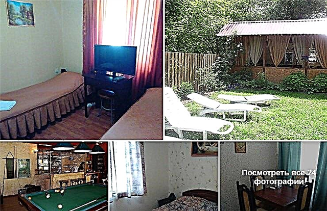 Excellent options for places to rent a house in Sochi on the seashore!